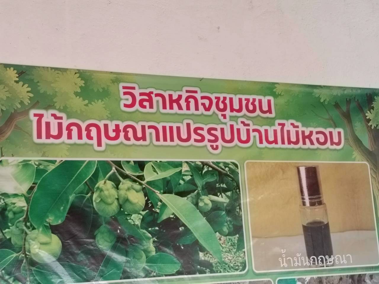 title - ส.ป.ก. ลงพื้นที่ตรวจเยี่ยมและติดตามการดำเนินงานกิจการวิสาหกิจชุมชนไม้กฤษณาแปรรูป